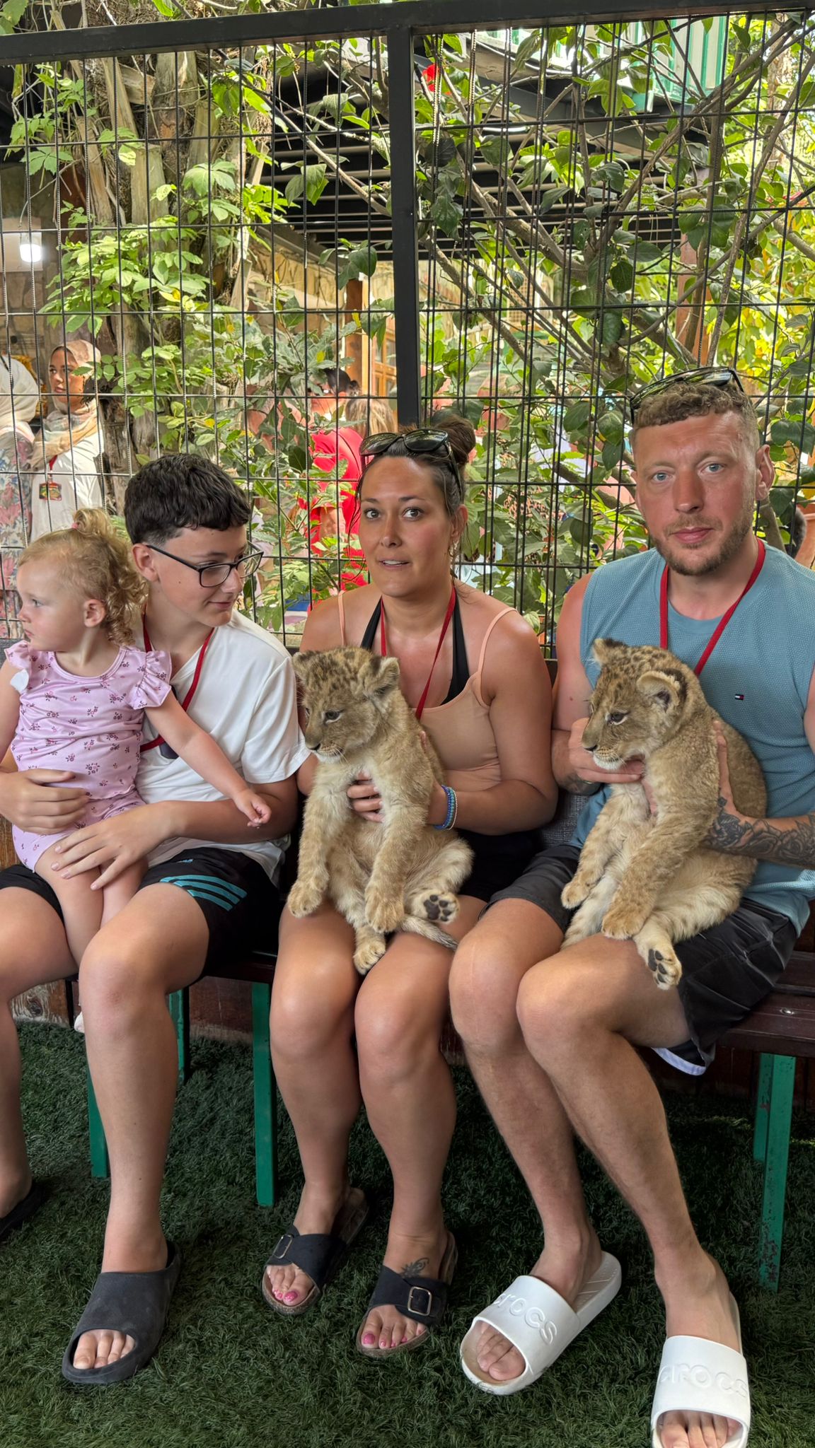 Side Lion Park Tour | Both Way Transfer is Included