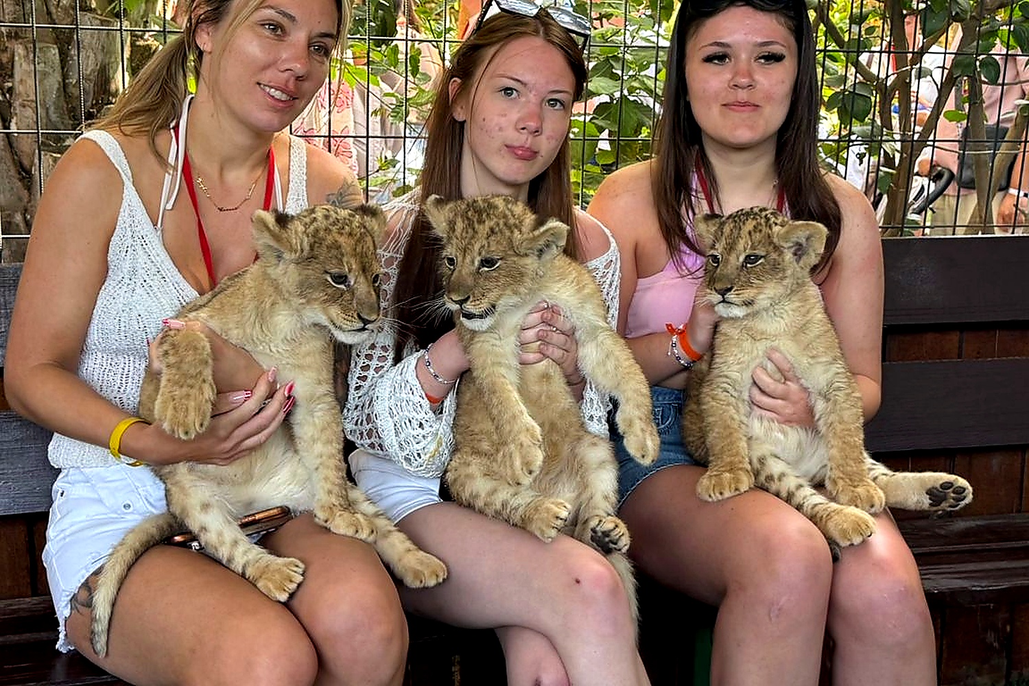 Green Canyon Boat Trip & Lion Park Safari from Antalya | Lunch & Transfer