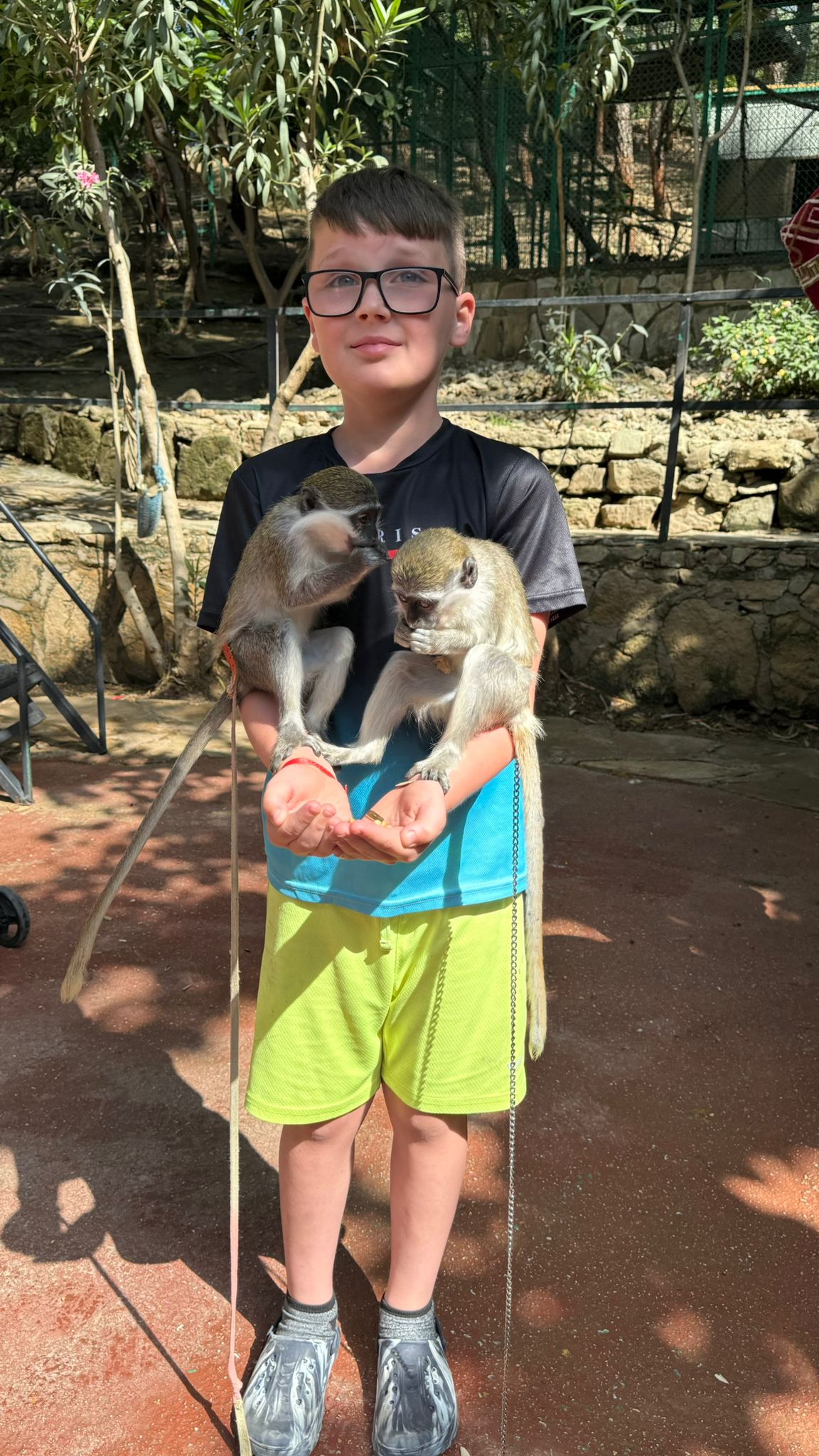 Private Lion Encounter & Zoo Experience From Alanya