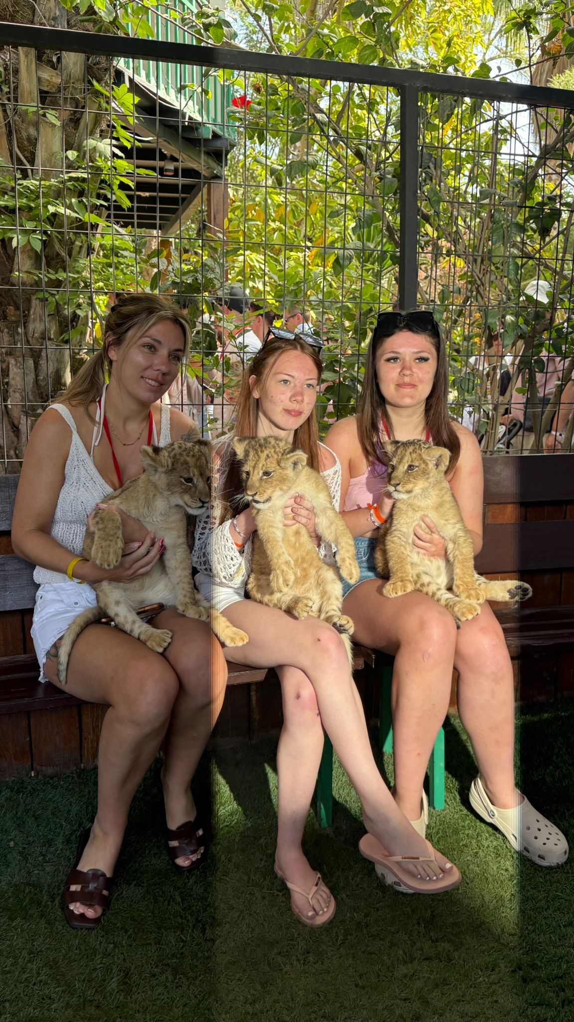 Private Lion Encounter & Zoo Experience From Alanya