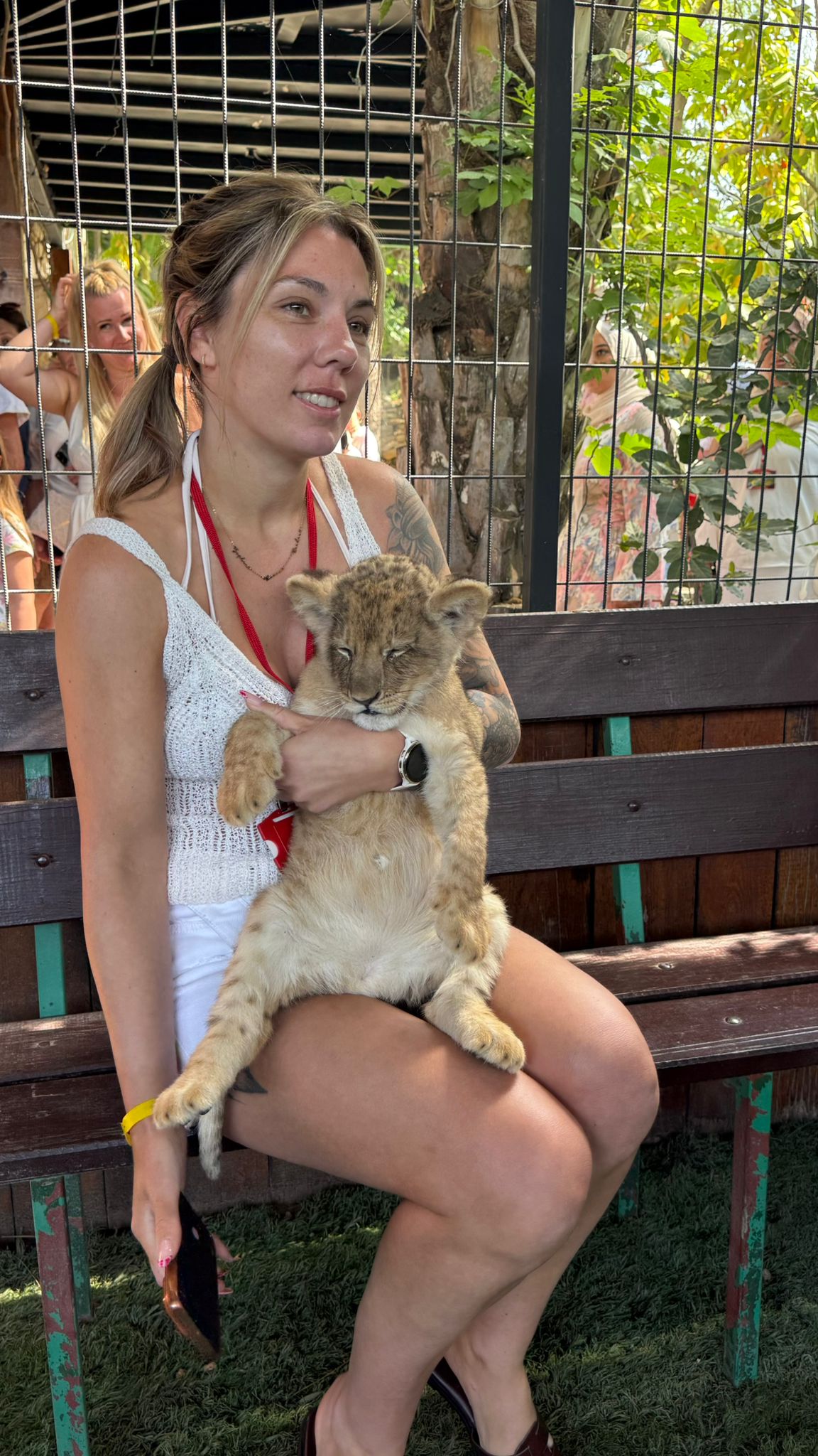 Private Baby Lion & Zoo Safari From Antalya