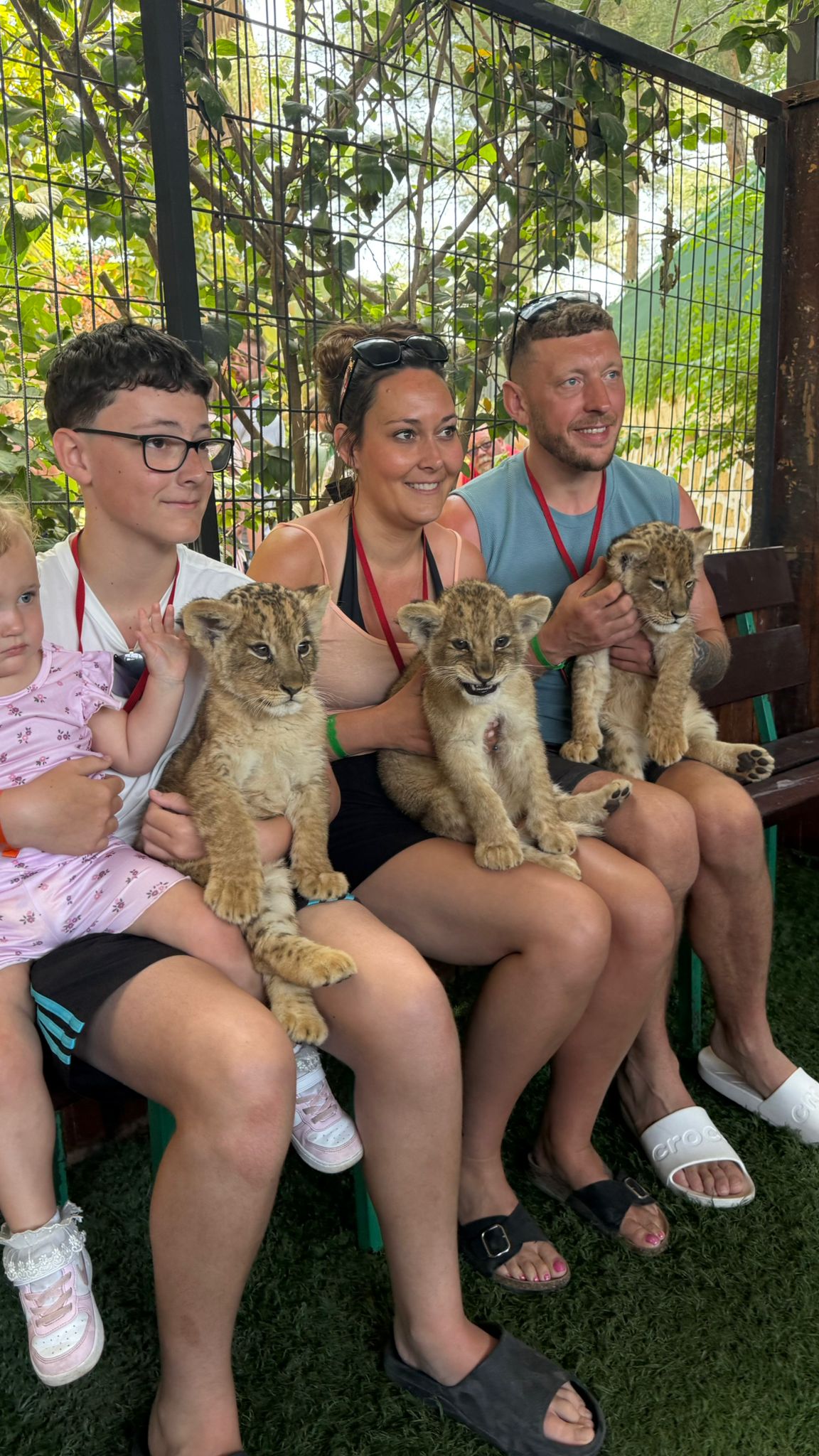 Private Baby Lion & Zoo Safari From Antalya
